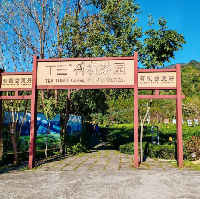 評論圖片