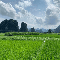 評論圖片
