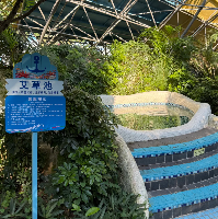 評論圖片