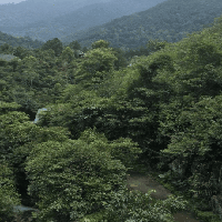 評論圖片