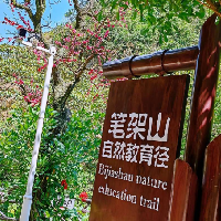 評論圖片