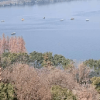 評論圖片