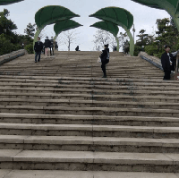 評論圖片