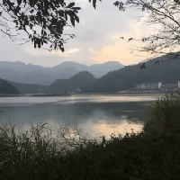 評論圖片