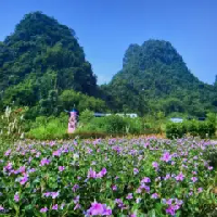 評論圖片