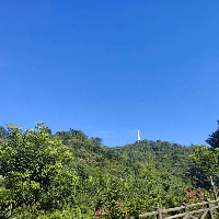 評論圖片