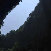 評論圖片