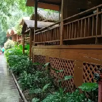 評論圖片