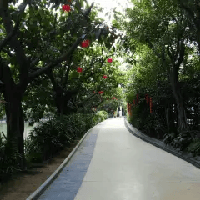 評論圖片