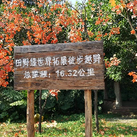 評論圖片