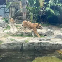 評論圖片