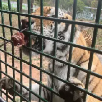 評論圖片