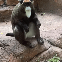 評論圖片