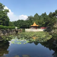 評論圖片