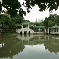 評論圖片