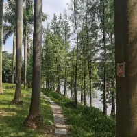 評論圖片