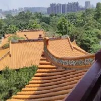 評論圖片
