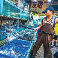 產品圖片