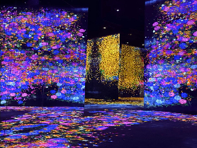 臺灣人衝澳門TeamLab｜5000㎡沉浸互動太讚！預訂攻略看這篇📝