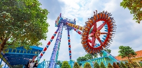 佛山高明盈香生態園花田小火車實測｜避坑+玩法全攻略✨