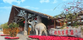 實測佛山盈香玻璃橋！3個避坑點+隱藏玩法分享✨