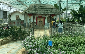 深圳光明農場大觀園｜實測體驗！擠奶+採果超讚的一日遊路線🤩