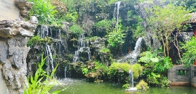 順德清暉園實測｜預訂前必睇3個貼士！附隱藏打卡點✨