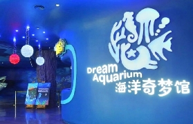 深圳海洋館預訂攻略｜3個必知亮點+避坑，超抵玩！✨