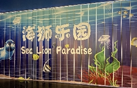 深圳海洋館實測｜水母+海獅表演超讚！親子遊必衝🌊