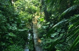 深圳青青世界保姆級攻略｜週末親子/度假必看，避坑+行程規劃✨