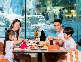 珠海長隆企鵝酒店自助早午聯餐票