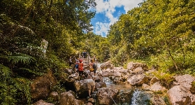 佛山南海灣森林生態園保姆級指南｜3大避坑點+景點順序推薦✅