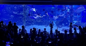 順德海立方親子遊實測！3個隱藏玩法+避坑懶人包🔥