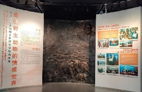 深圳博物館私享講解實測｜講師帶路逛400年歷史超讚🤩