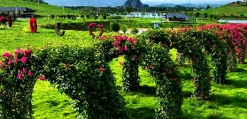 惠州鹿鷹園實測｜暢玩套票抵到爆！15項機動+高空漂流全玩遍✨