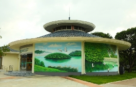 江門小鳥天堂實測！百鳥歸巢超震撼🤩