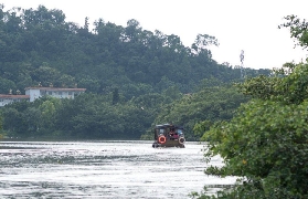 江門小鳥天堂避坑指南！3個易忽略的問題⚠️