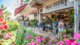 逛不膩的香港主題購物街，給你真實的香港本地體驗！