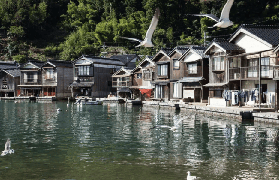 日本海之京都E線一日遊｜總結5個避坑點，別踩雷！📝