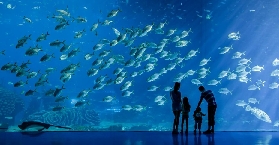 珠海長隆飛船酒店3天2晚｜遊玩後總結避坑建議，實用幹貨收藏🌟