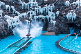 珠海長隆企鵝酒店套票｜避坑總結+行程規劃建議📝