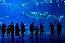 珠海長隆企鵝酒店2天1晚避坑指南｜3個必看註意事項💡