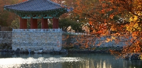 慶州一日遊實測｜韓國古都隱藏玩法！避坑指南+預訂貼士✨