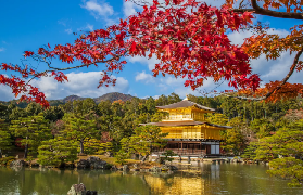 京都一日遊實測｜選和風古韻F線前必看3個避坑點✨