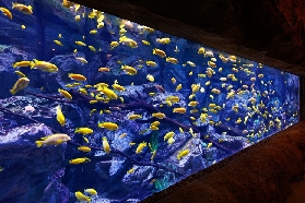 珠海長隆飛船酒店3天2晚套票｜避坑指南全總結✨