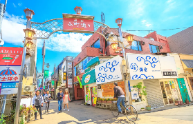 東京鐮倉一日遊避坑總結｜實用指南📝