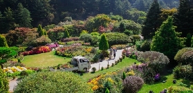 首爾經典一日遊｜羊駝+南怡島+晨靜樹木園，預訂前必看！💡