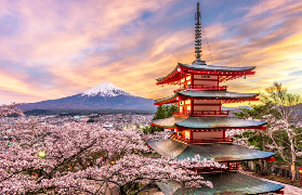 富士山一日遊預訂前必睇！3個隱藏細節唔好忽略✨