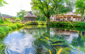 富士山一日遊實測！5個網紅點拍照技巧大公開📸