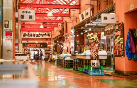 茨城一日遊實測！3個隱藏亮點+現場體感分享🤩